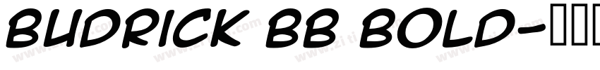 Budrick BB Bold字体转换